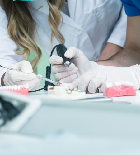 歯の模型の全体を確認する歯科技工士